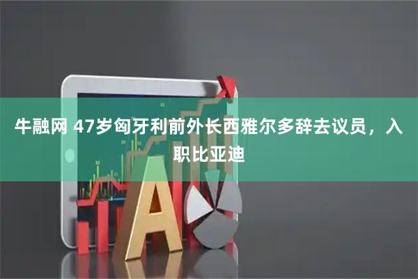 牛融网 47岁匈牙利前外长西雅尔多辞去议员，入职比亚迪